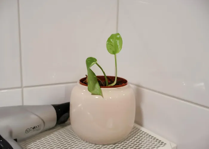 Dwellings With Sauna, Parking Kapsül Otel *